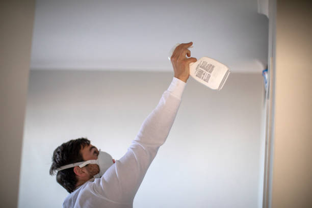  Lexington, KY Mold Removal Pros
