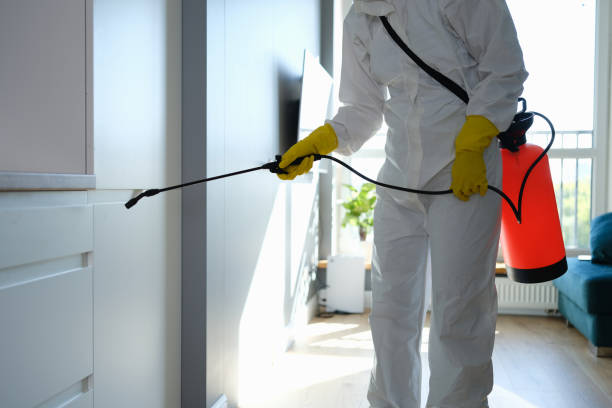 Best Mold Removal Process  in Lexington, KY